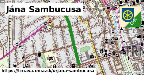 ilustrácia k Jána Sambucusa, Trnava - 597 m