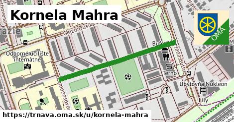 Kornela Mahra, Trnava