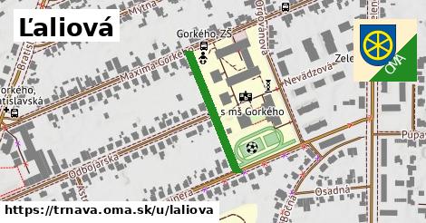 ilustrácia k Ľaliová, Trnava - 230 m