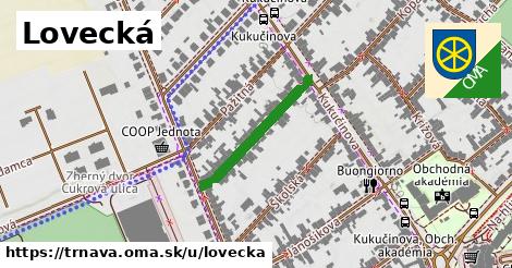 Lovecká, Trnava