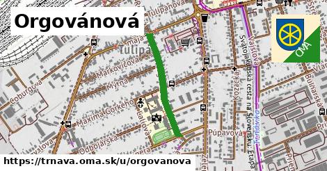 ilustrácia k Orgovánová, Trnava - 492 m