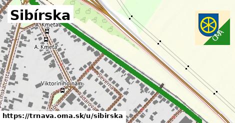 Sibírska, Trnava