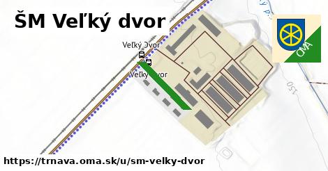 ŠM Veľký dvor, Trnava