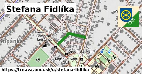 ilustrácia k Štefana Fidlíka, Trnava - 171 m