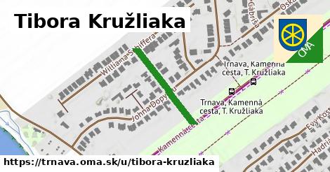 ilustrácia k Tibora Kružliaka, Trnava - 216 m