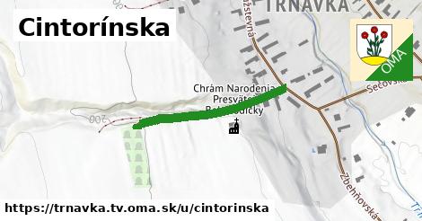 ilustrácia k Cintorínska, Trnávka, okres TV - 276 m