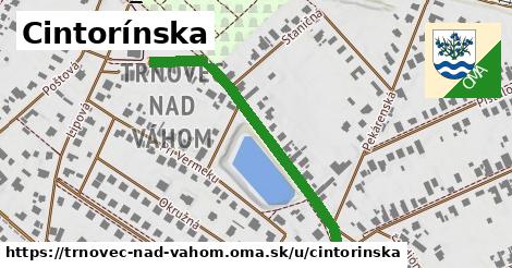 Cintorínska, Trnovec nad Váhom