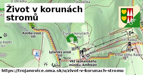 ilustrácia k Život v korunách stromů, Trojanovice - 86 m