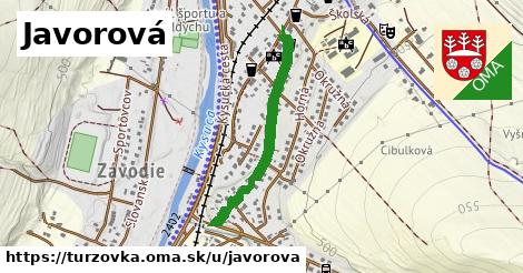 ilustrácia k Javorová, Turzovka - 606 m