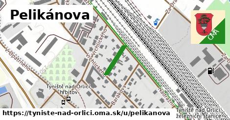 ilustrácia k Pelikánova, Týniště nad Orlicí - 110 m