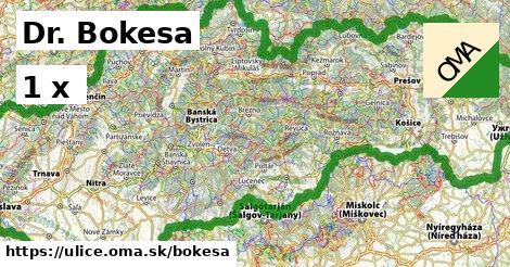 Dr. Bokesa