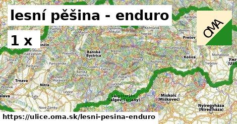 lesní pěšina - enduro