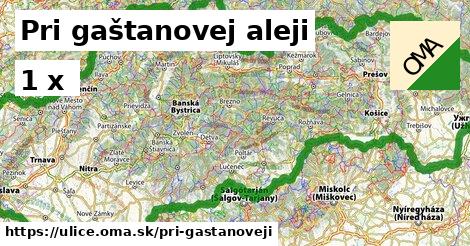 Pri gaštanovej aleji