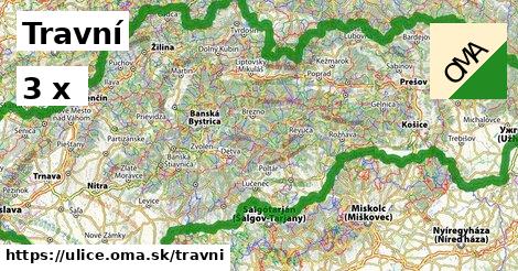 Travní cesta