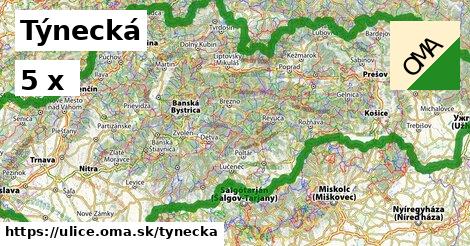 Týnecká