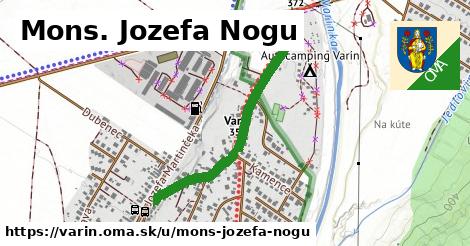 Mons. Jozefa Nogu, Varín