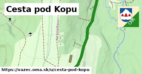 ilustrácia k Cesta pod Kopu, Važec - 4,3 km