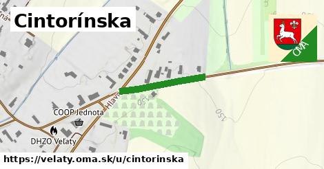 Cintorínska, Veľaty