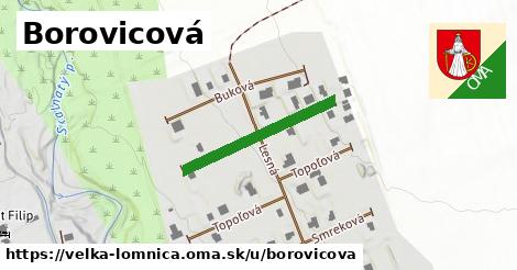Borovicová, Veľká Lomnica