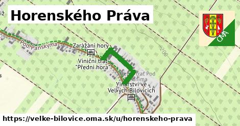 ilustrácia k Horenského Práva, Velké Bílovice - 193 m