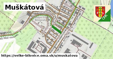 Muškátová, Velké Bílovice