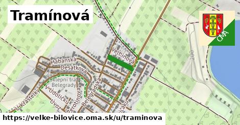 ilustrácia k Tramínová, Velké Bílovice - 84 m