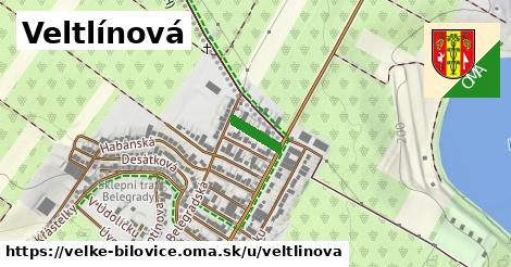 ilustrácia k Veltlínová, Velké Bílovice - 86 m