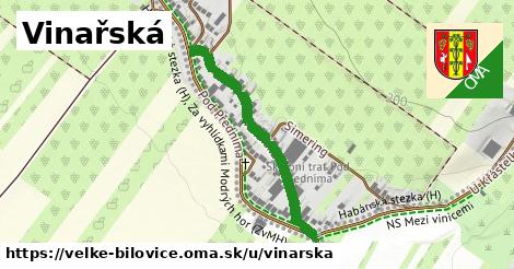 Vinařská, Velké Bílovice