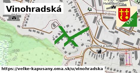 Vinohradská, Veľké Kapušany