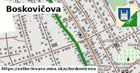 Boskovičova, Veľké Leváre