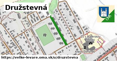 Družstevná, Veľké Leváre