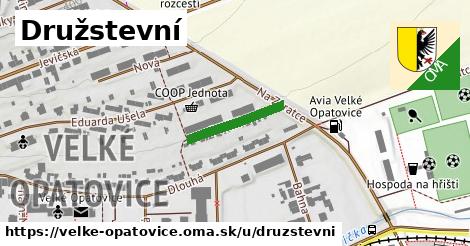 Družstevní, Velké Opatovice