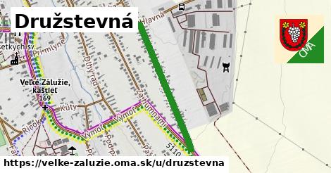 Družstevná, Veľké Zálužie