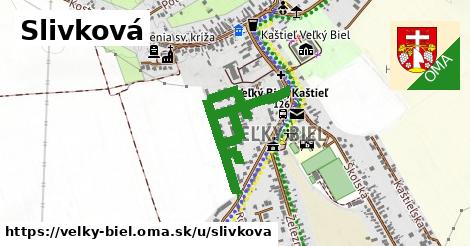 ilustrácia k Slivková, Veľký Biel - 1,01 km