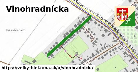 Vinohradnícka, Veľký Biel