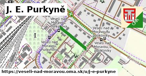 ilustrácia k J. E. Purkyně, Veselí nad Moravou - 171 m