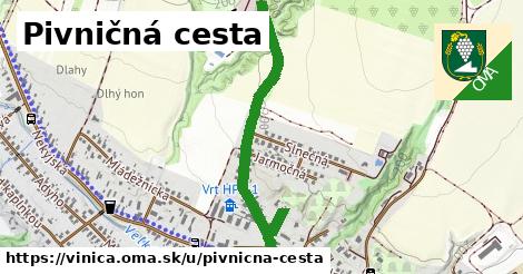 Pivničná cesta, Vinica