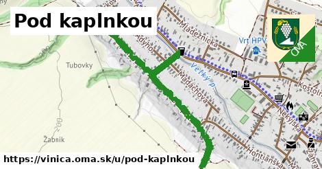 Pod kaplnkou, Vinica