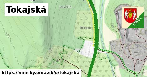 ilustrácia k Tokajská, Viničky - 3,1 km