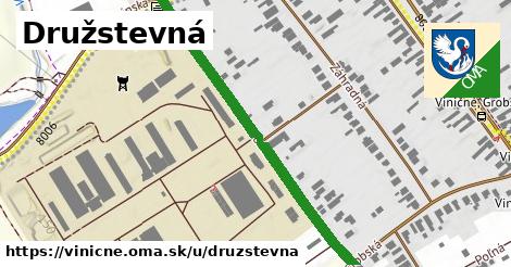 Družstevná, Viničné