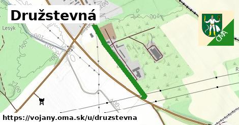 Družstevná, Vojany