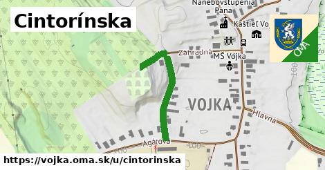 Cintorínska, Vojka