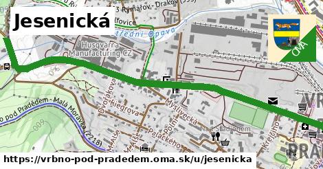 ilustrácia k Jesenická, Vrbno pod Pradědem - 1,58 km