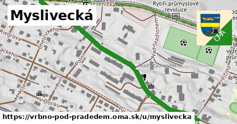 ilustrácia k Myslivecká, Vrbno pod Pradědem - 625 m