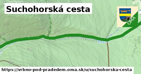 ilustrácia k Suchohorská cesta, Vrbno pod Pradědem - 1,95 km