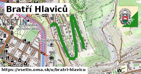 Bratří Hlaviců, Vsetín