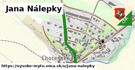 Jana Nálepky, Vysoké Mýto