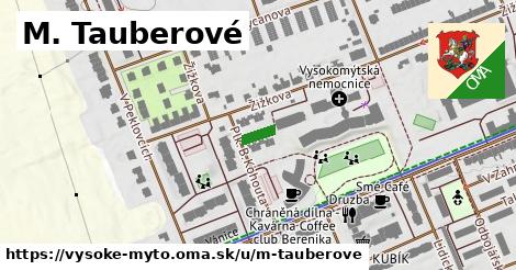 M. Tauberové, Vysoké Mýto