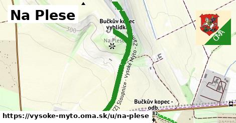 ilustrácia k Na Plese, Vysoké Mýto - 0,98 km