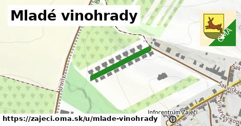 ilustrácia k Mladé vinohrady, Zaječí - 208 m